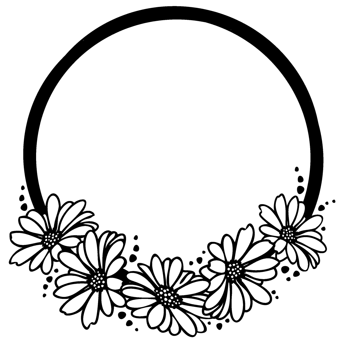 Olviau Protographie